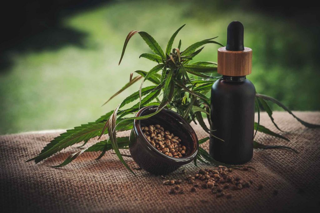 Hemp seeds and Cannabis plant