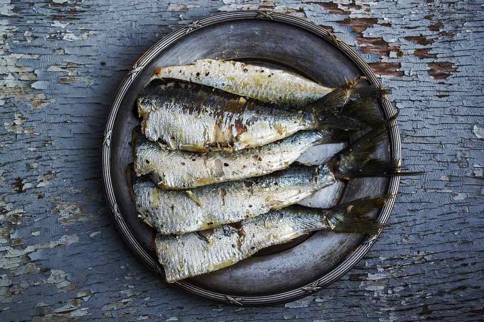 Picture of sardines in a bowl